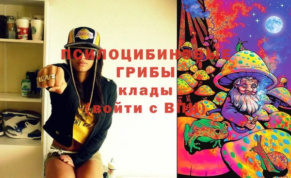 трава Белокуриха