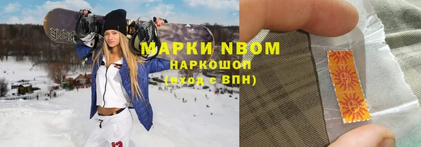 трава Белокуриха
