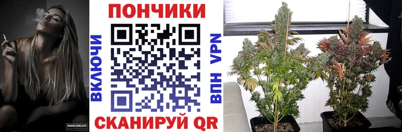 Бошки Шишки AK-47  Бугульма 
